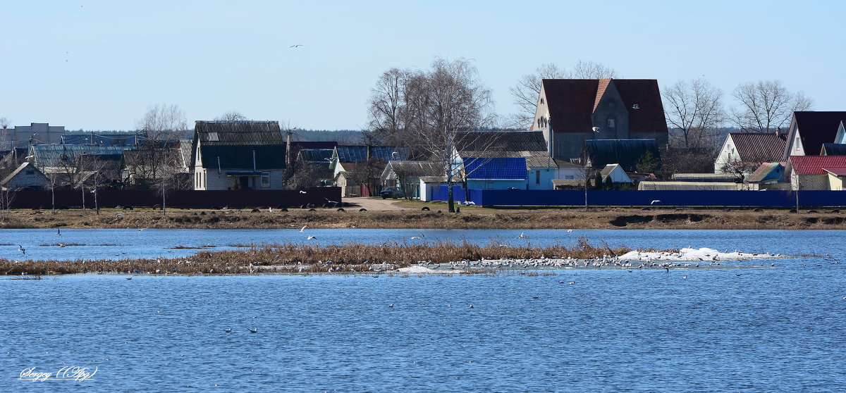 Весна. - Sergey (Apg)