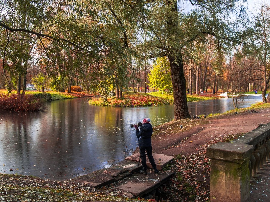 В осеннем парке - Елена Кириллова