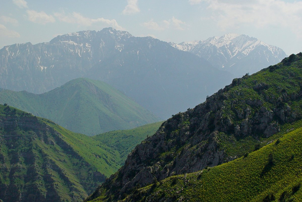 ДОЛИНА КУЛОСЬИ - Виктор Осипчук