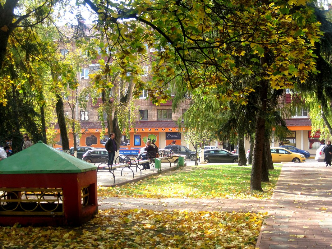 В городском сквере осенью - Елена Семигина