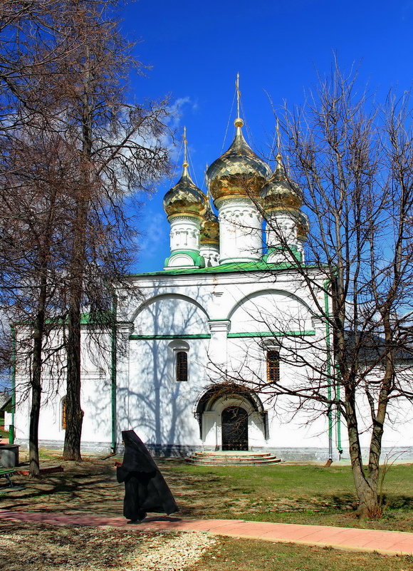 Душа одевшись в чёрный цвет... - Лесо-Вед (Баранов)