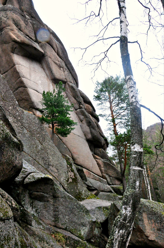 *** - Алексей Желтухин