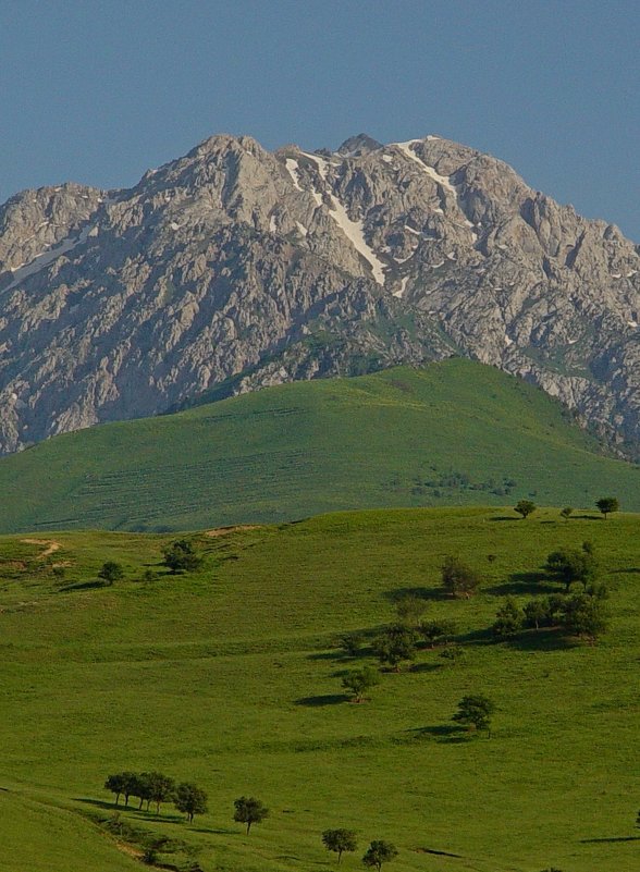 В ДРОГЕ, ПИК ОХОТНИЧИЙ. - Виктор Осипчук