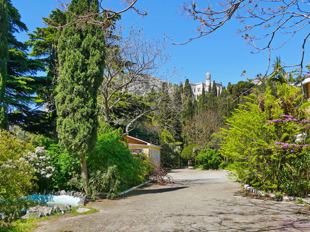 в Симеизе - Андрей Козлов