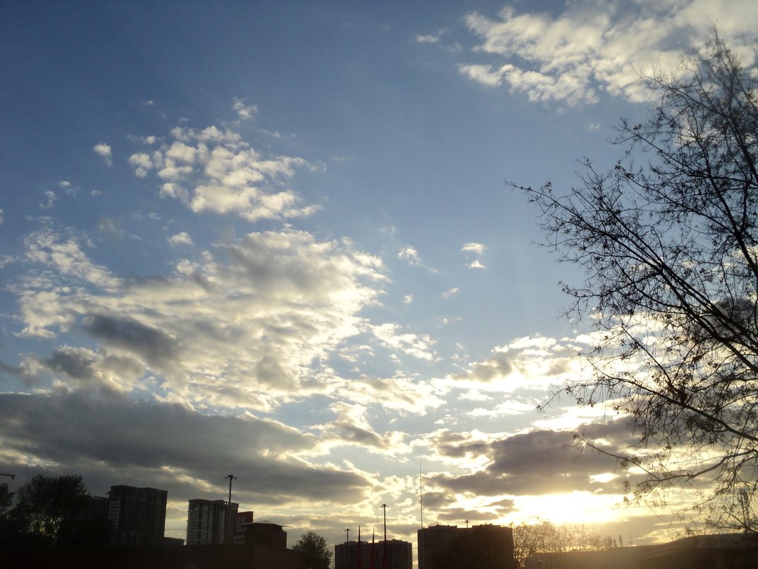 Небо завораживает меня! - Ольга Кривых Небо завораживает меня! - Ольга Кривых