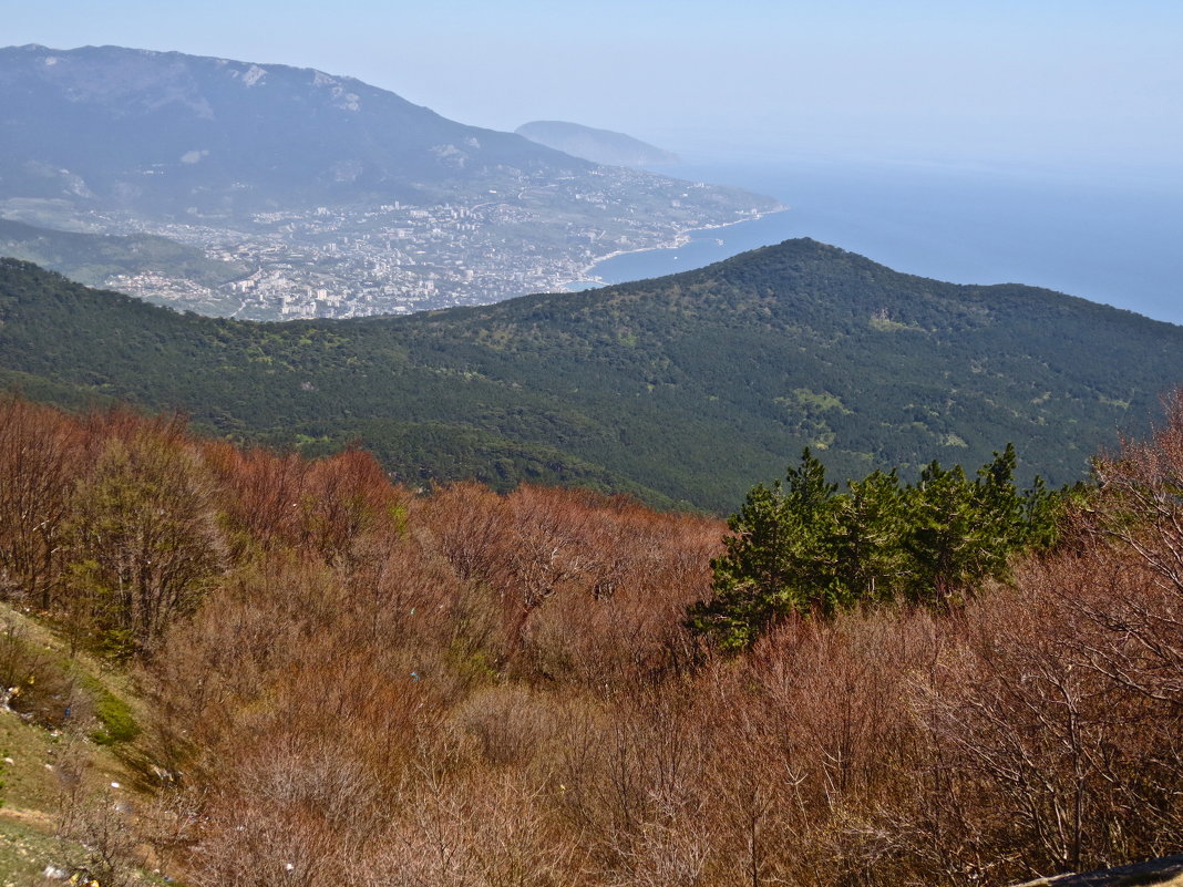 Крым,на Ай-Петри,весна - Елена 