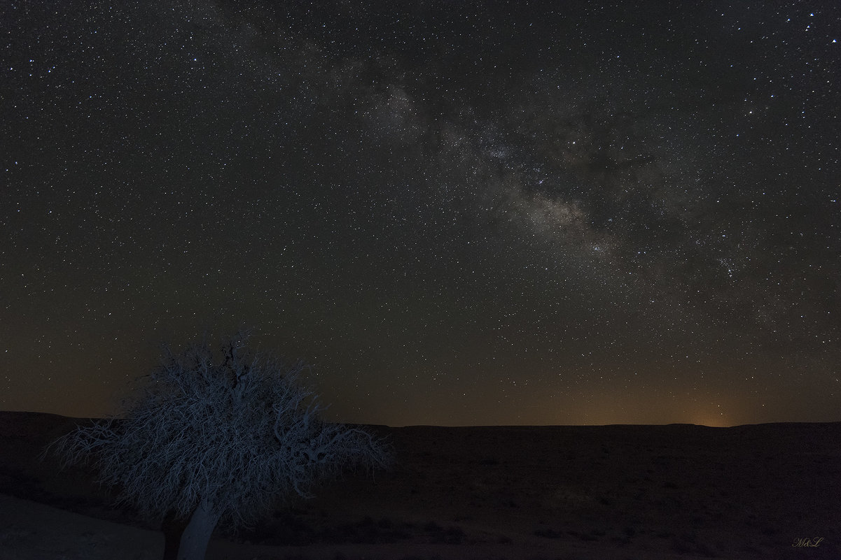 Desert stars - Michael & Lydia Militinsky