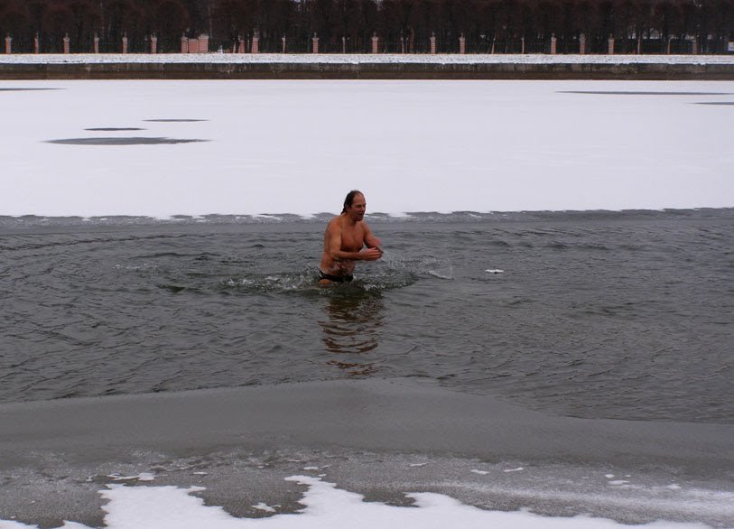 Морж - Анна Воробьева