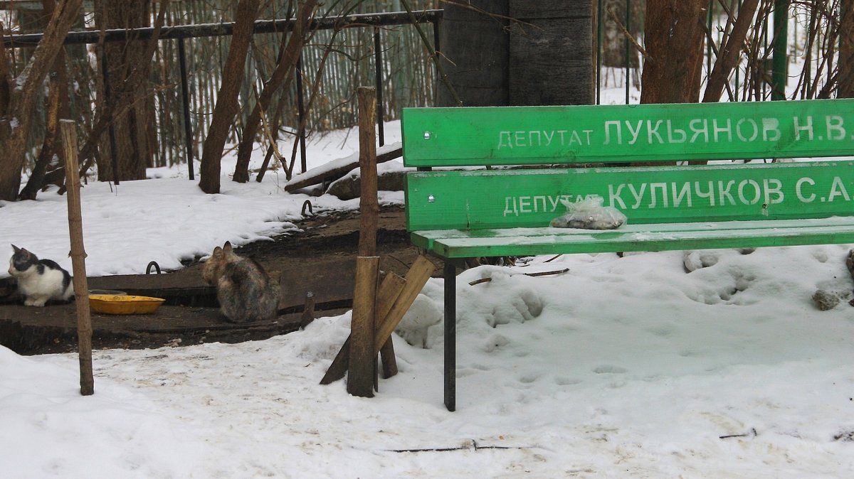 Депутатский перерыв на обед. - Валерия  Полещикова 