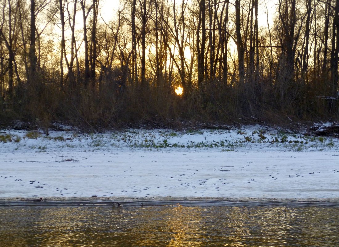 Устье Суховской. Закат. - Elena Sartakova