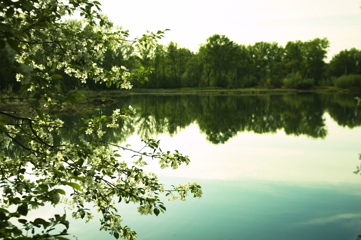 протока - юрий Амосов