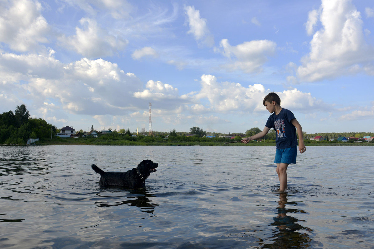 Игра с Собакой... - Дмитрий Петренко Игра с Собакой... - Дмитрий Петренко