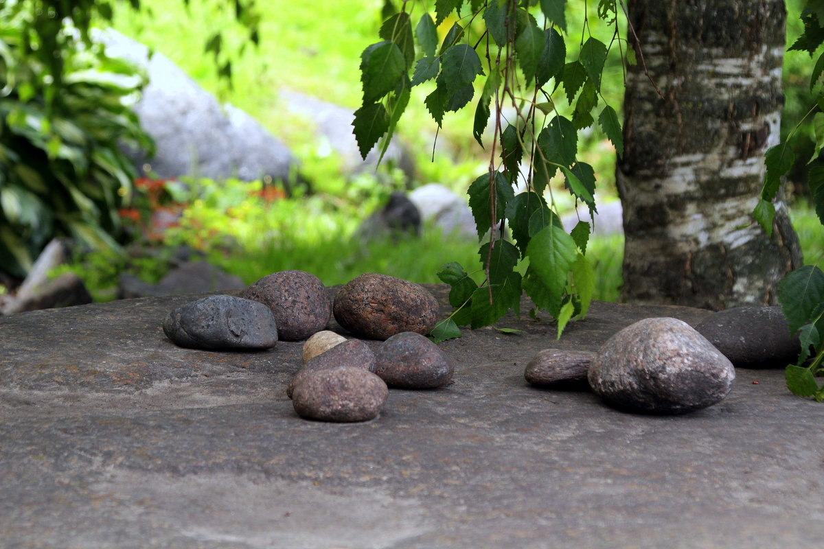 *** - Эдвард Фогель