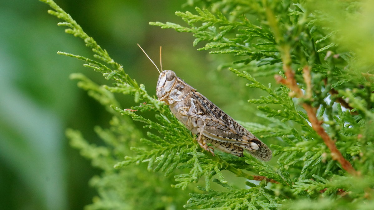 Алматы. - Andrei Antipin 