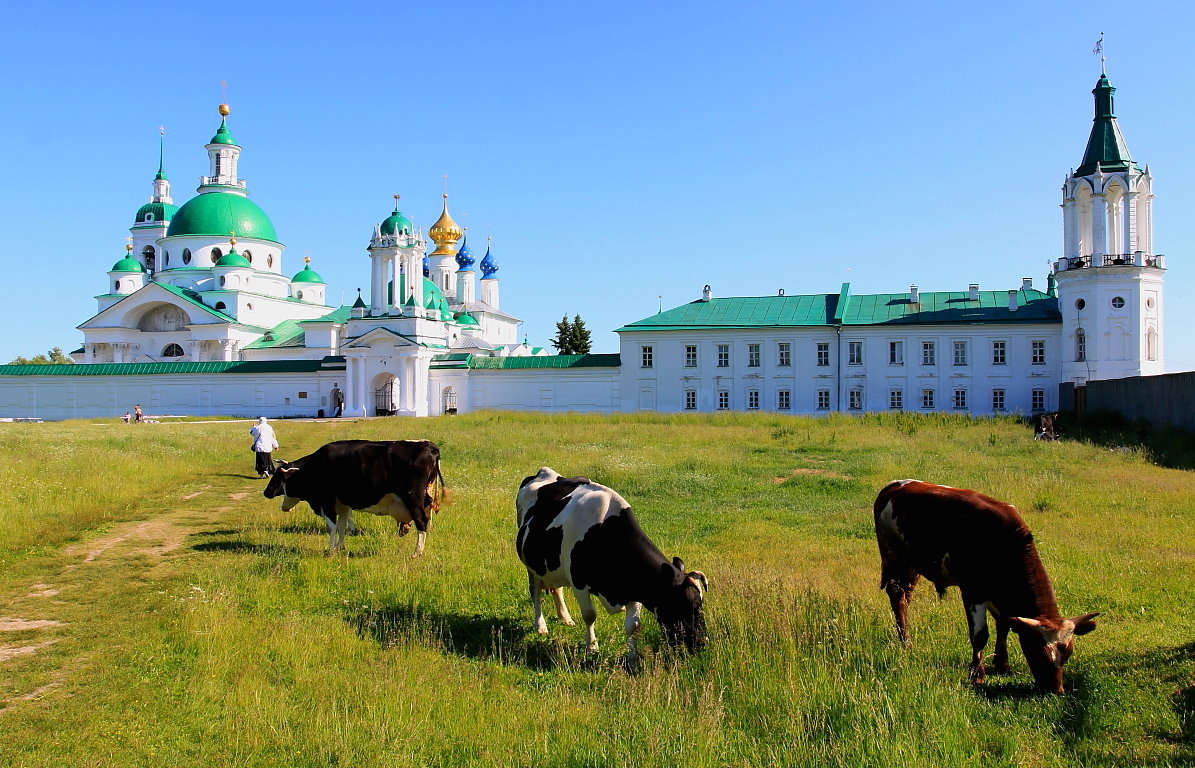 Ростовский Спасо-Яковлевский Димитриев монастырь. - Николай Кондаков