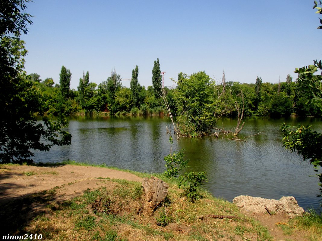 В ростовском зоопарке - Нина Бутко