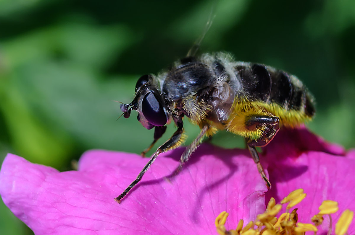За работой. - Виктор Иванович Чернюк За работой. - Виктор Иванович Чернюк