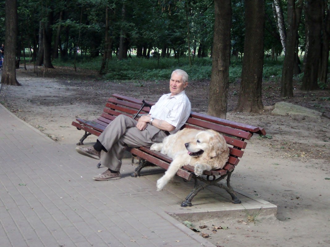 Знакомьтесь! Это пёс Боня, он спас трёх человек! - Ольга Кривых