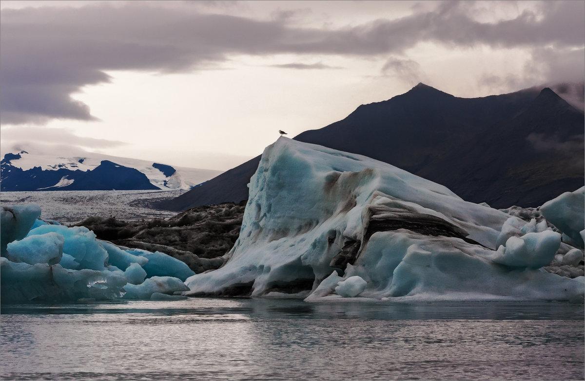 Голубые льды Тсландии - Shapiro Svetlana 