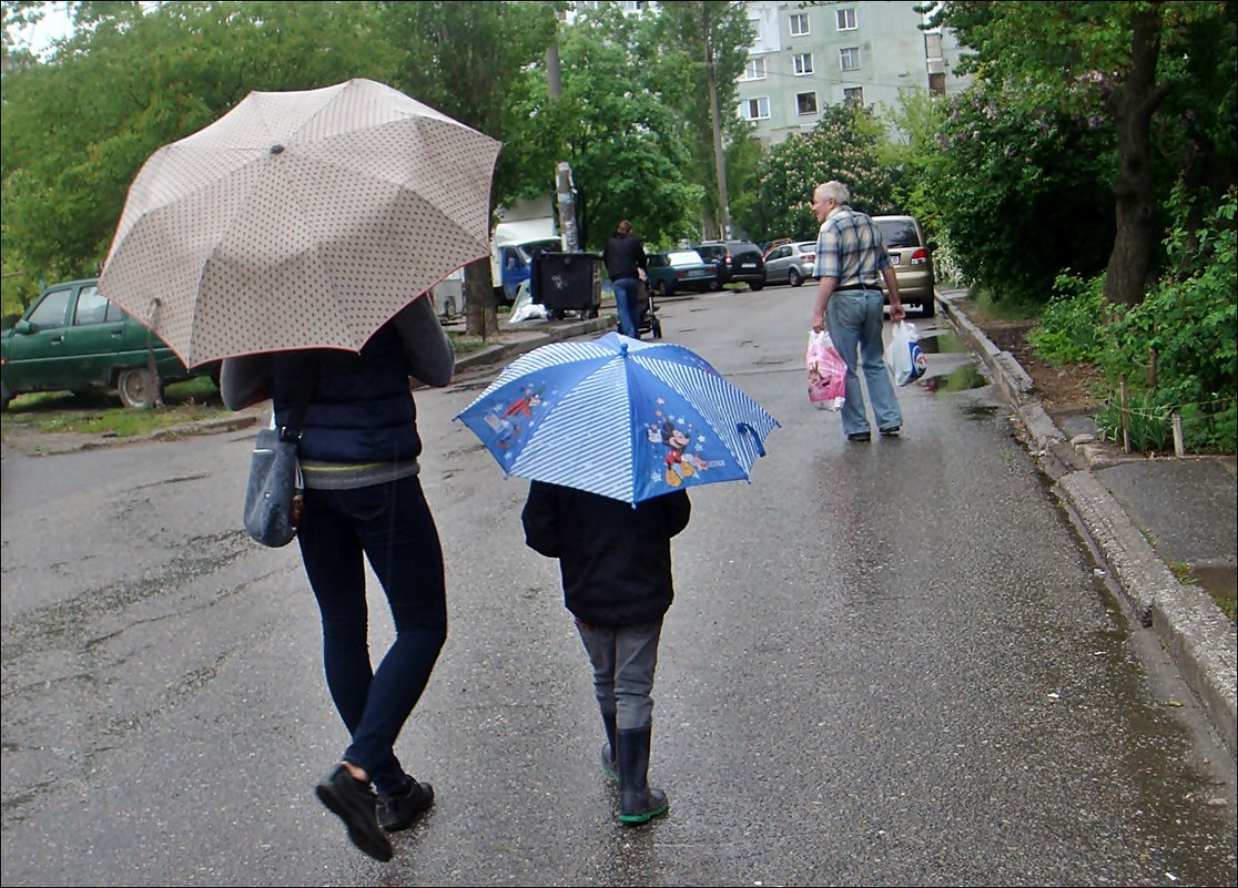 Тёплый майский дождик - Нина Корешкова