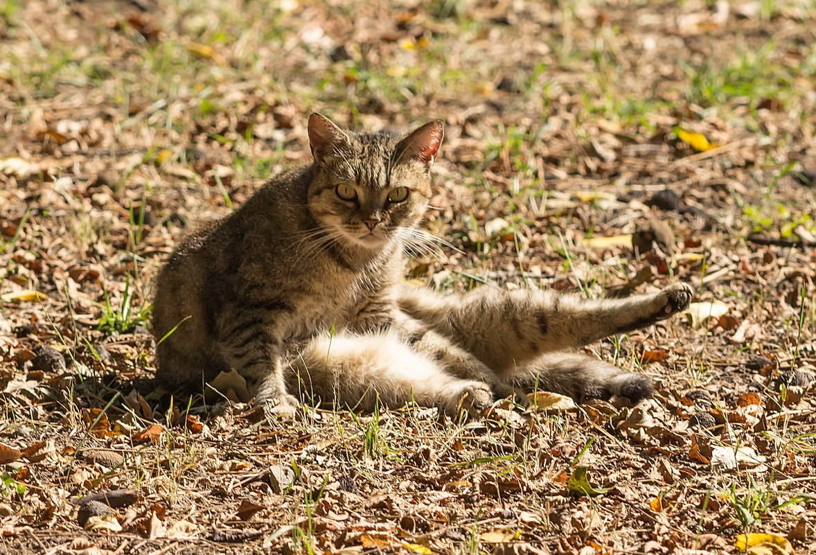 Тебе чего фотограф? - Николай Саржанов
