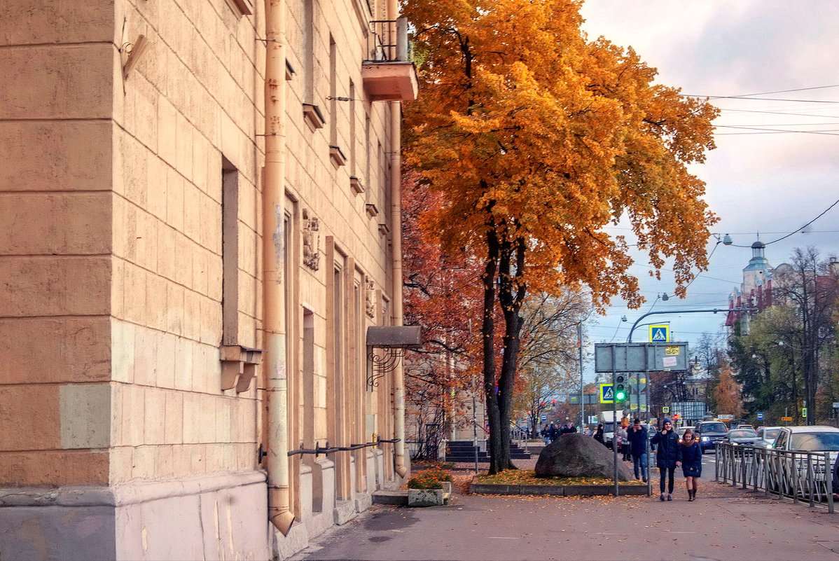 *** - Сергей  Могутов 