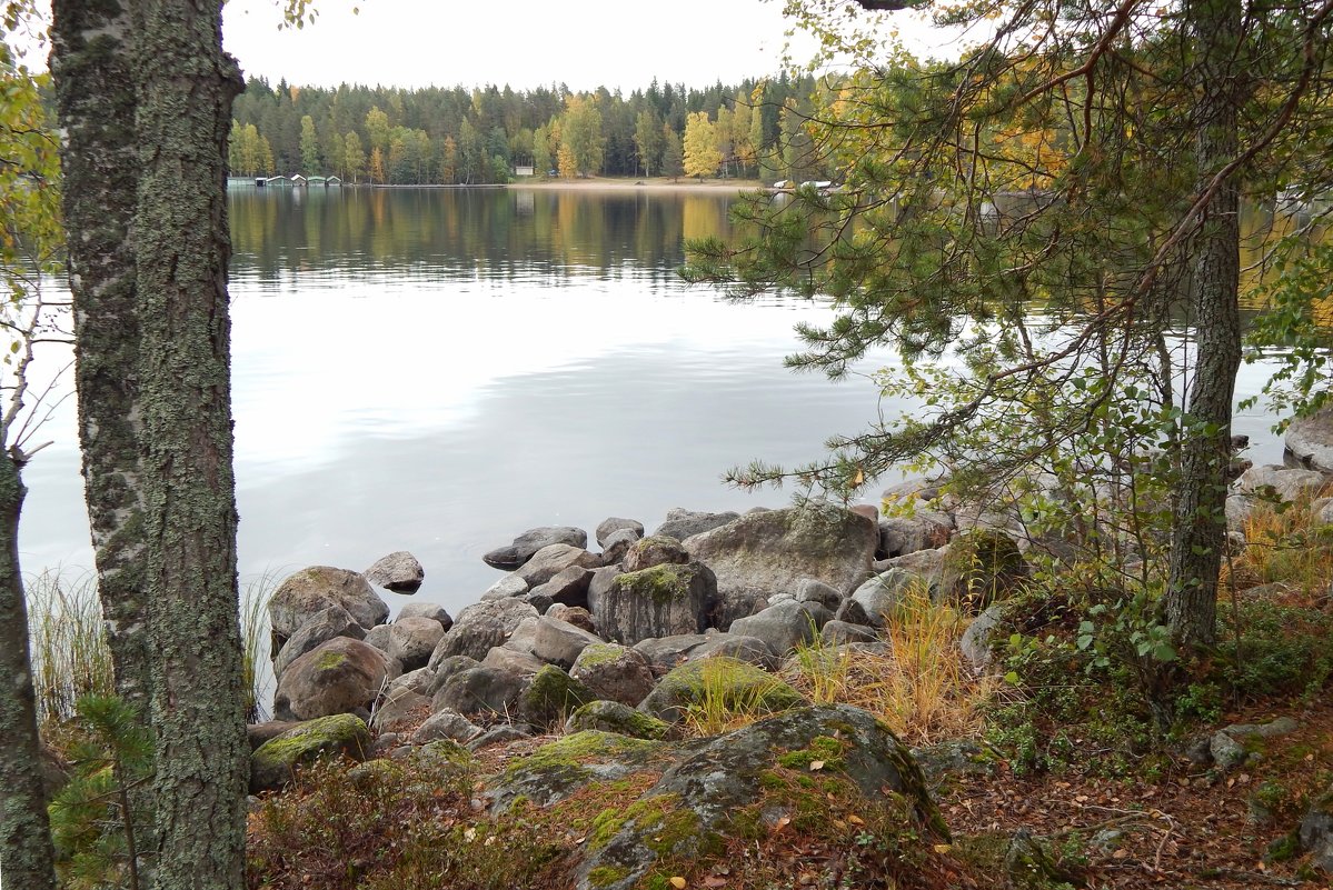 Страна Suomi. Озеро Сайма. - Лариса (Phinikia) Двойникова