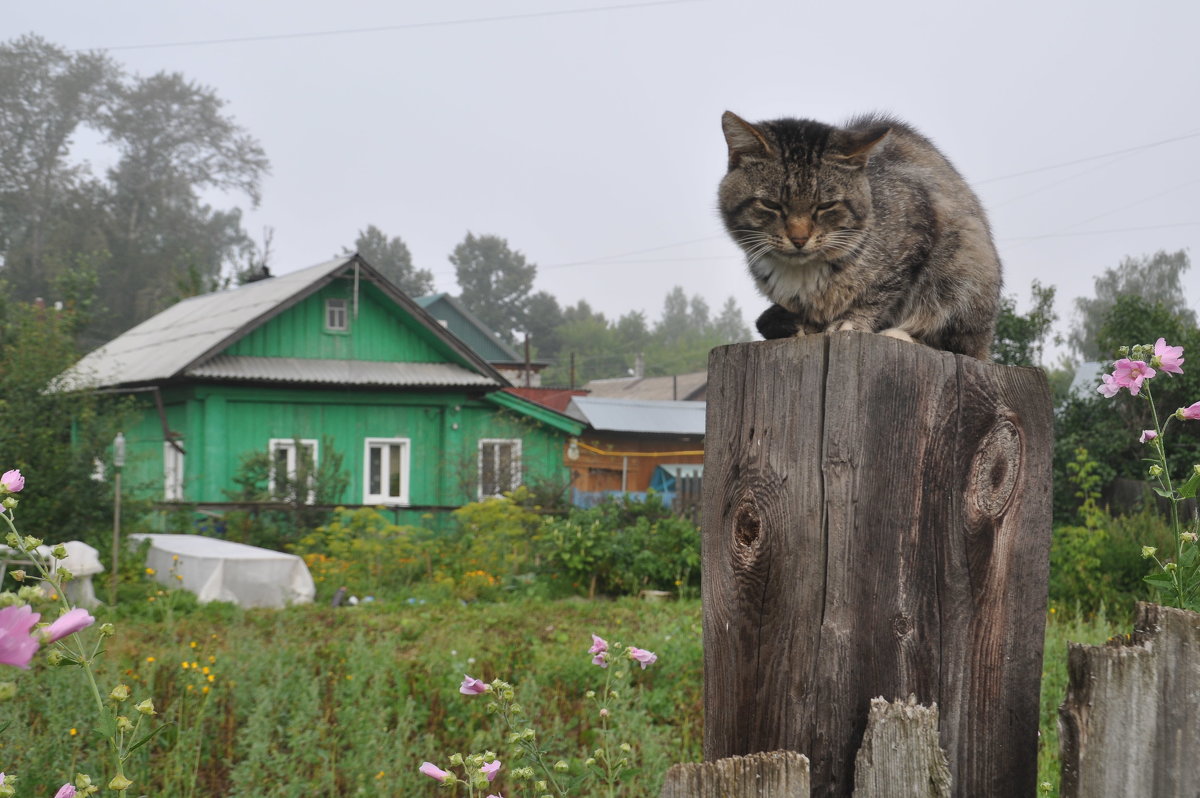 И днём и ночью кот ученый... - Владимир Хиль