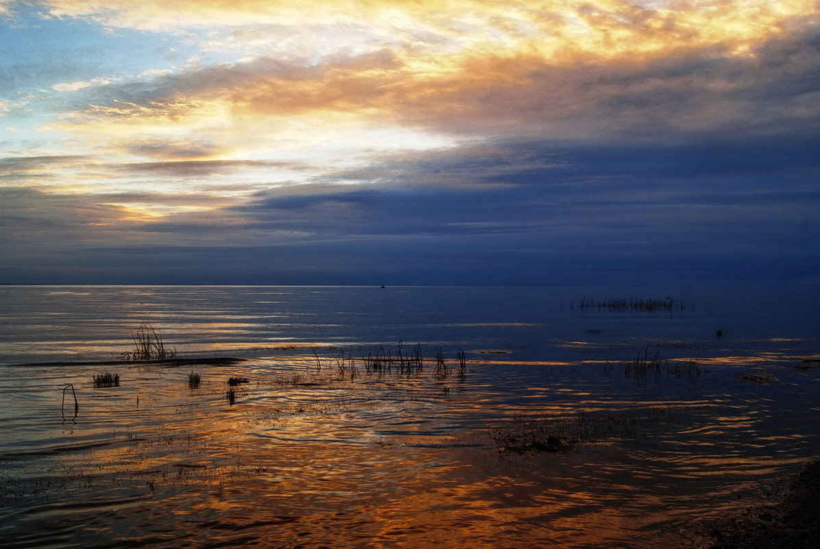 *** - Сергей Могутов *** - Сергей Могутов