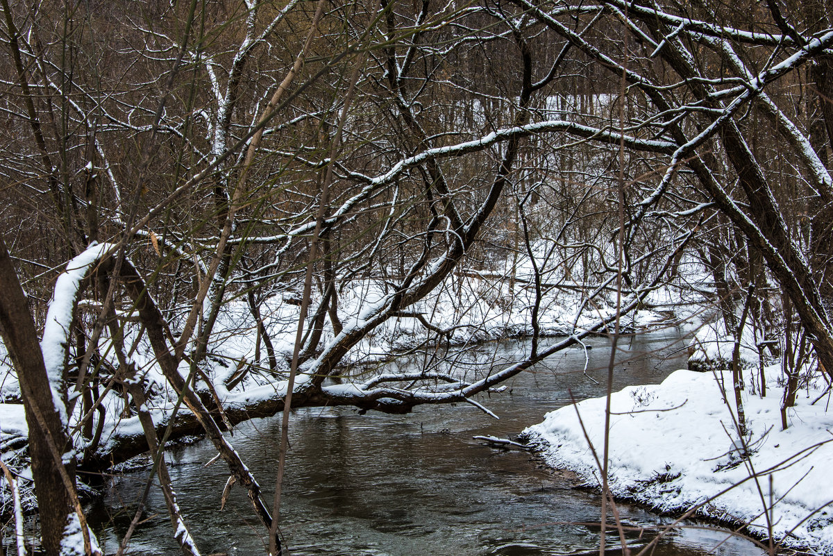 *** - Владимир Безбородов