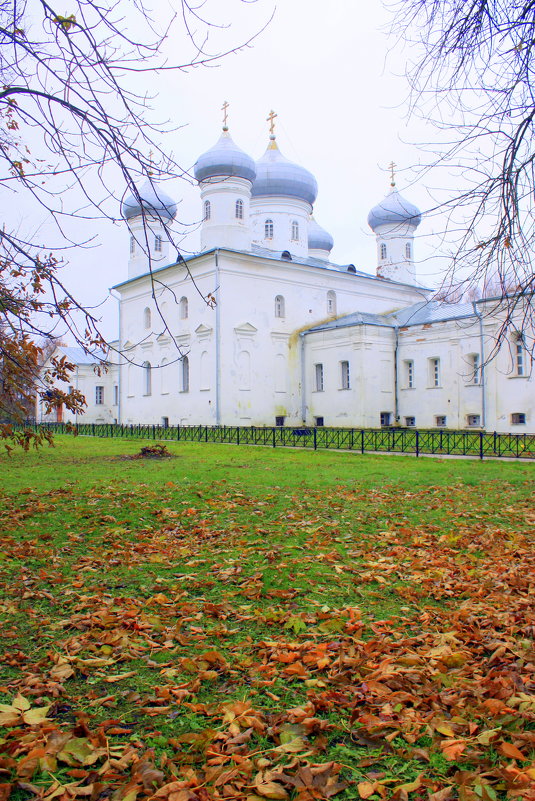 ВЕЛИКИЙ НОВГОРОД - Николай Гренков