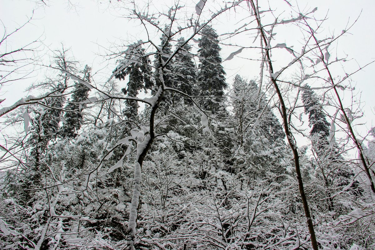 Морозко - декорации фильма - Вячеслав Случившийся Морозко - декорации фильма - Вячеслав Случившийся