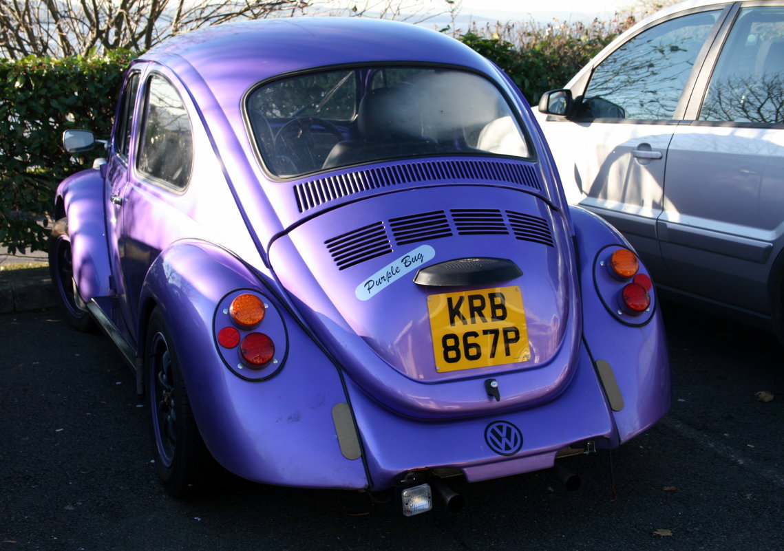 Purple Bug:-) - Olga 