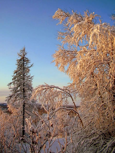 Чудесный день - ГАЛИНА Баранова