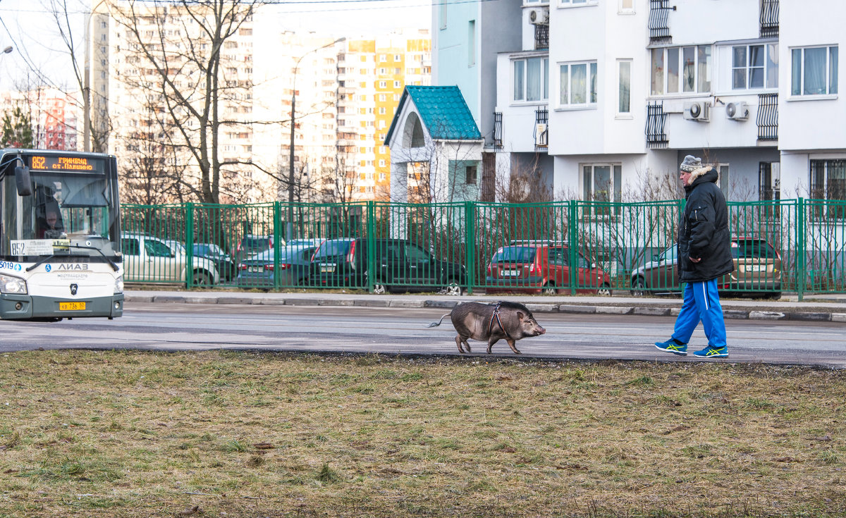 "Извини, что опоздала - долго автобус ждала..." - Владимир Безбородов