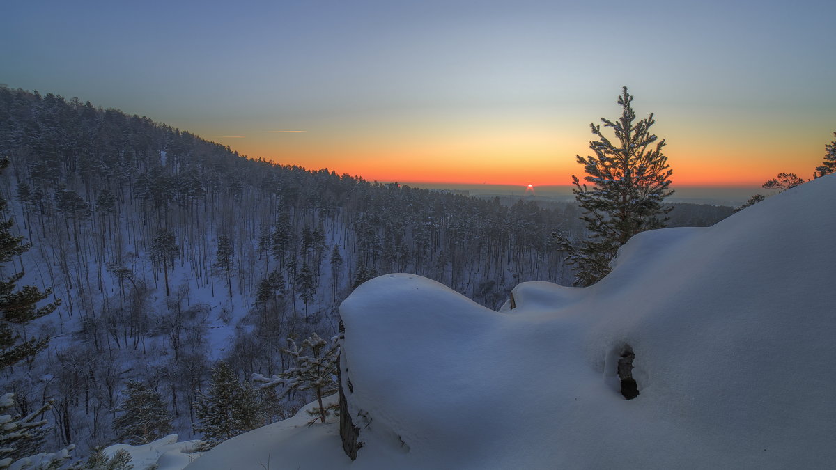 **** - Дамир Белоколенко