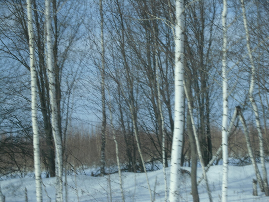 Приближение весны. - Михаил Михеев 