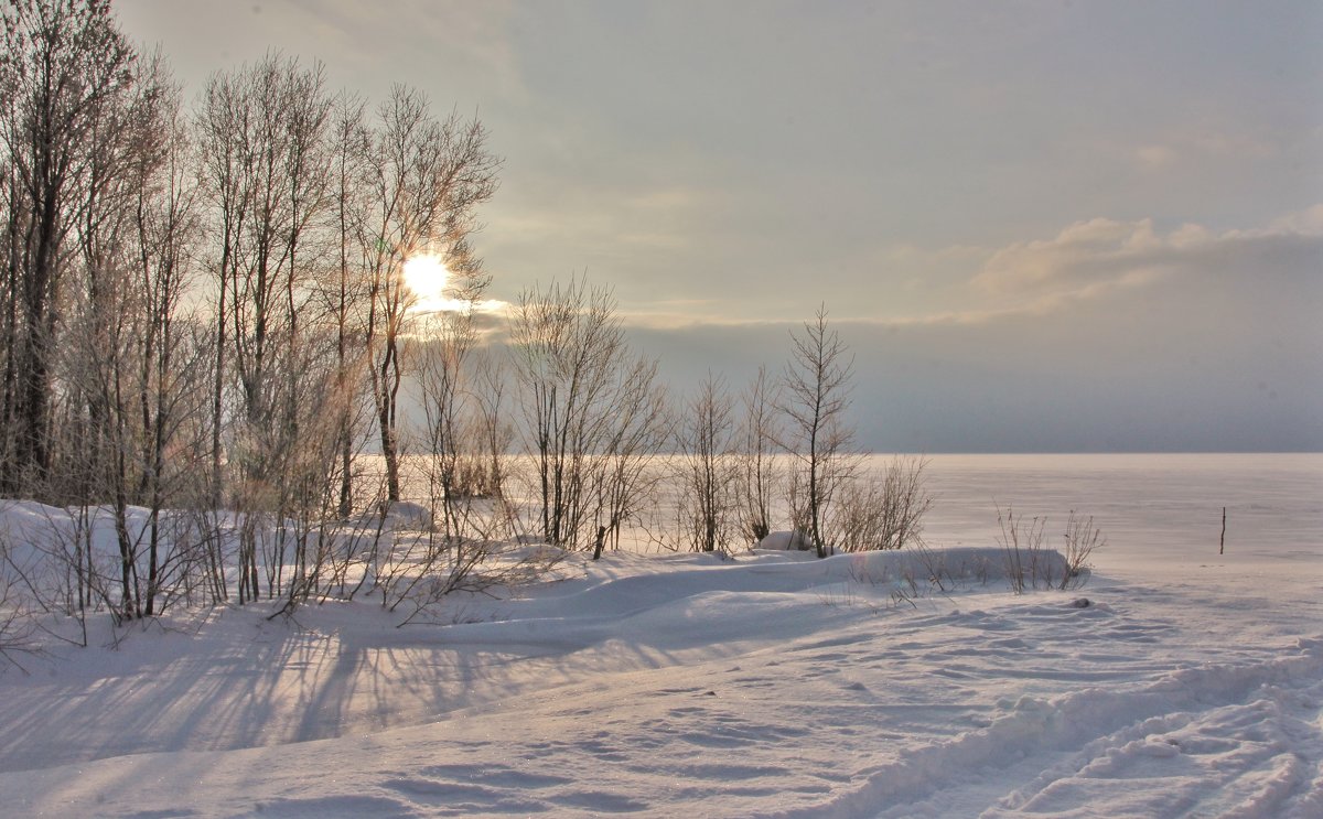 Солнца слабые лучи. - Галина .