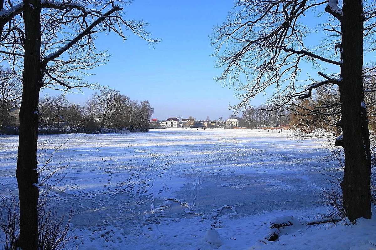 Зима в городе - Маргарита Батырева