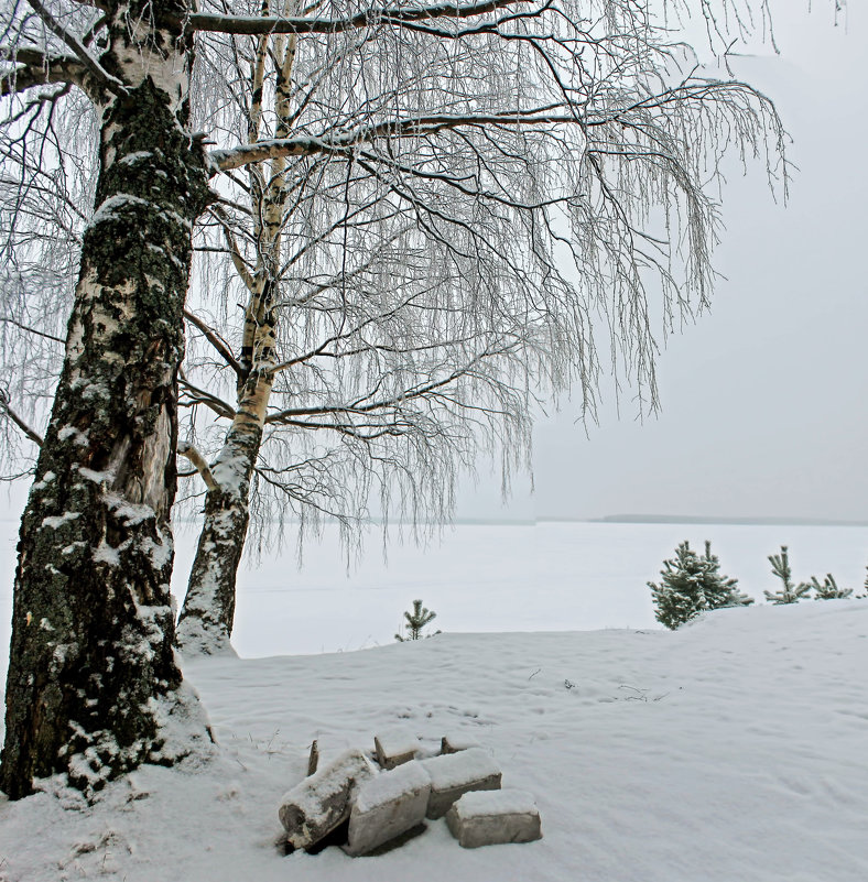 *** - Анжела Пасечник