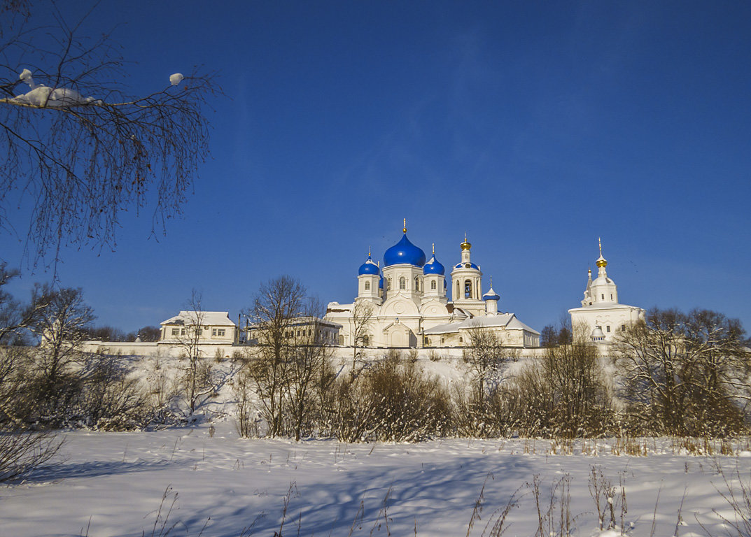 Февраль в Боголюбове - Сергей Цветков