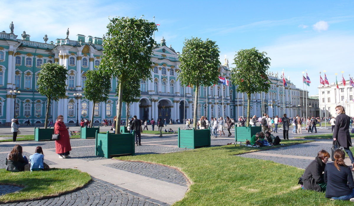 СПб.Дворцовая пл.Деревья в центре . - Таэлюр 