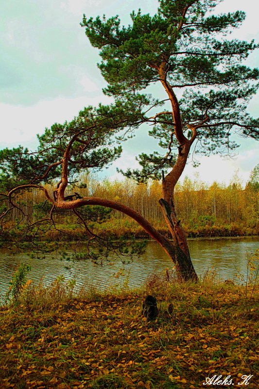 осень -  унылая пора - Александр 