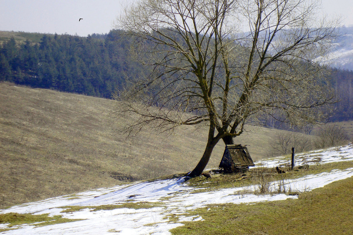 "Криниця" - Ростислав Кухарук