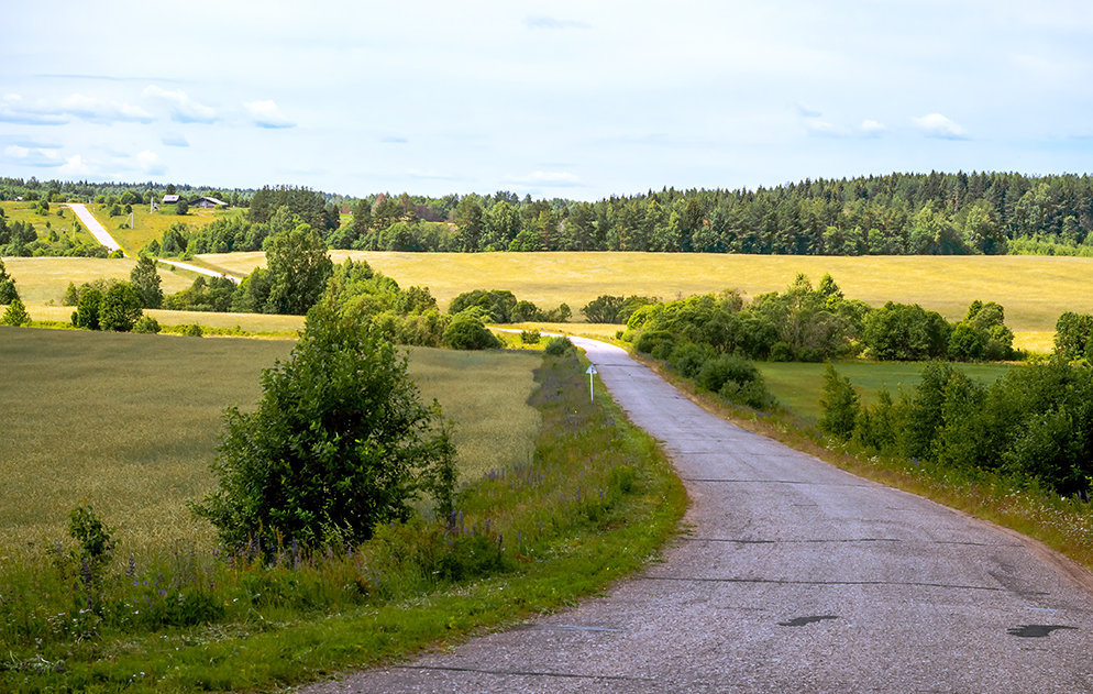 Моя Вологодчина - Александр Силинский Моя Вологодчина - Александр Силинский