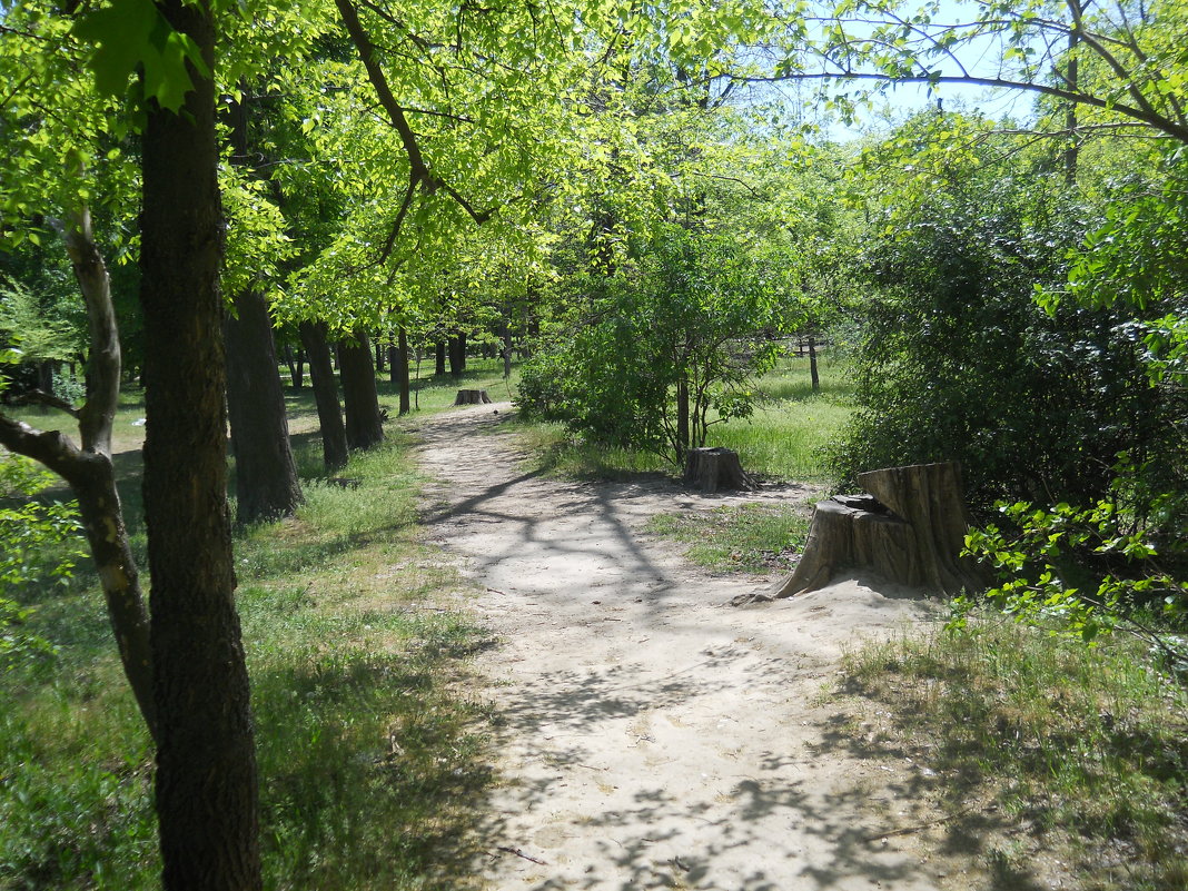 В парке в весенний день - Галина Квасникова