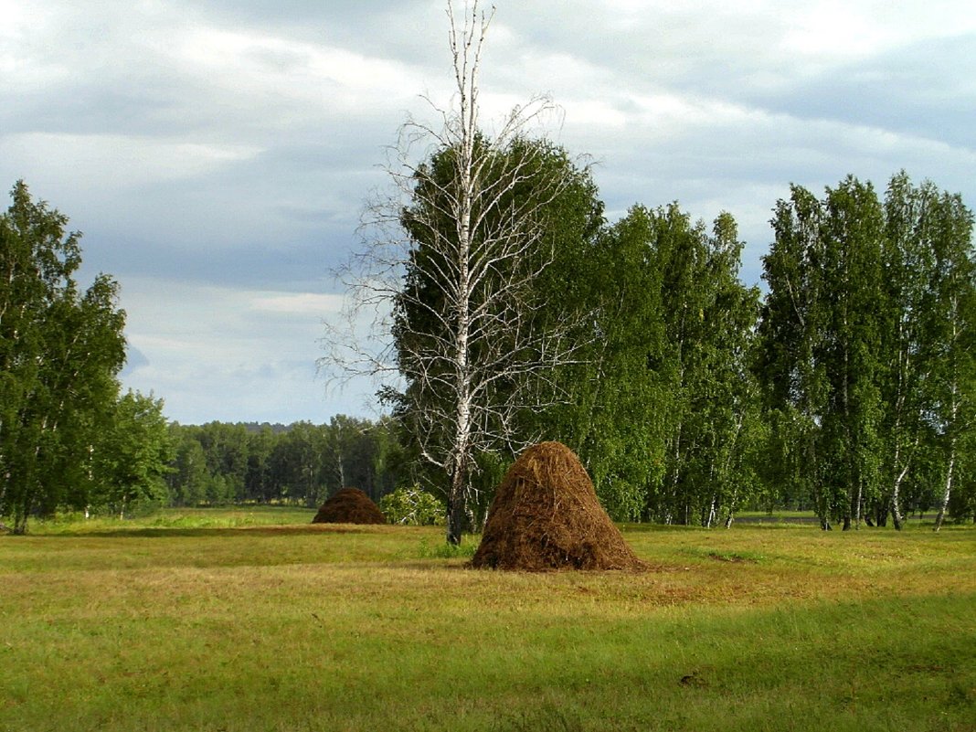 Пейзаж с копной. - nadyasilyuk Вознюк