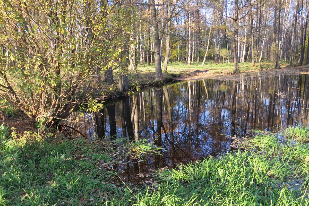 В парке - Вера Щукина