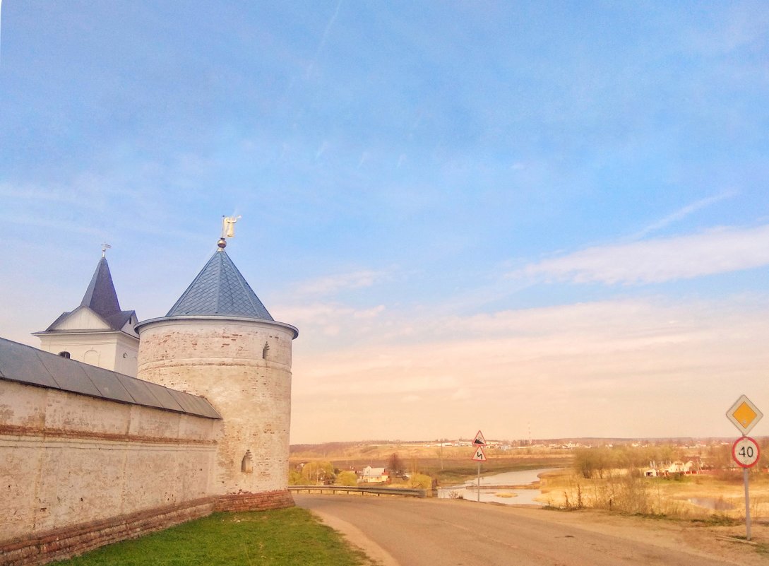 Лужецкий монастырь - Екатерррина Полунина