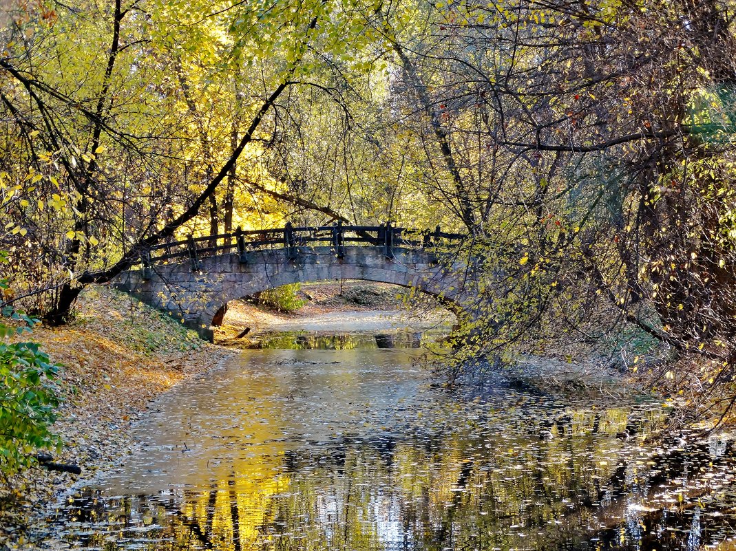 Осень в старинном парке. - Евгений Яхим